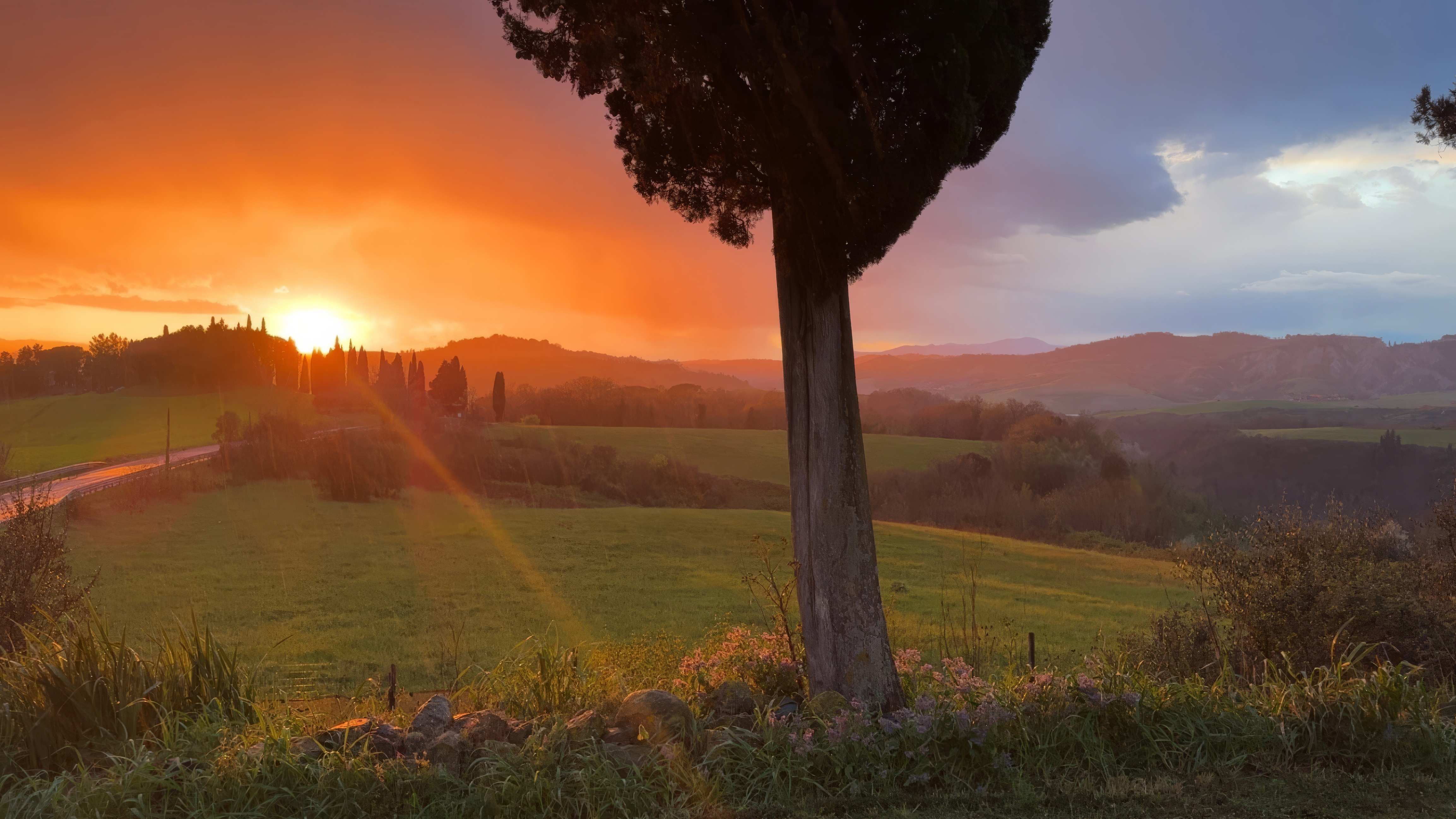 Landscapes